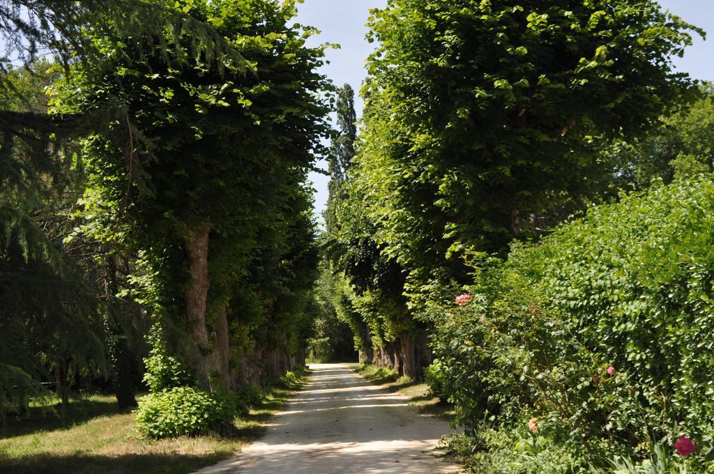 Bed and Breakfast Les Longchamps Neuillé Exterior foto
